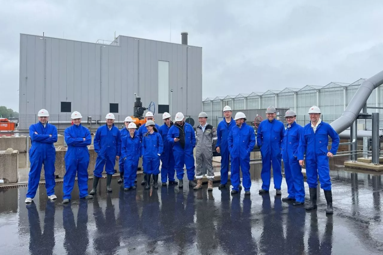 Polscy producenci szklarniowi