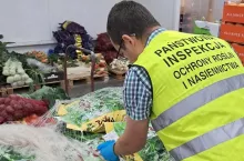 Kontrole PIORiN w Polsce