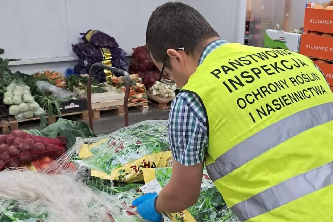 Kontrole PIORiN w Polsce