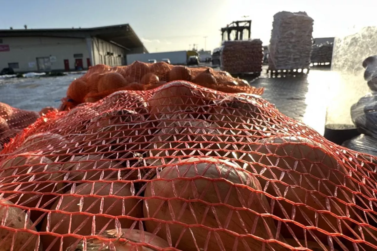 Cebula rynek na Broniszach