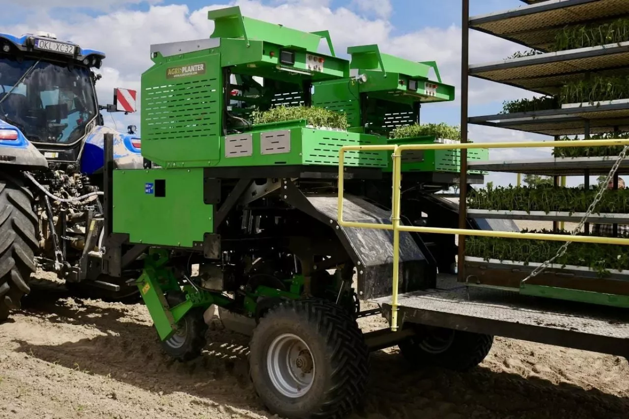 Automatyczna sadzarka do pomidorów