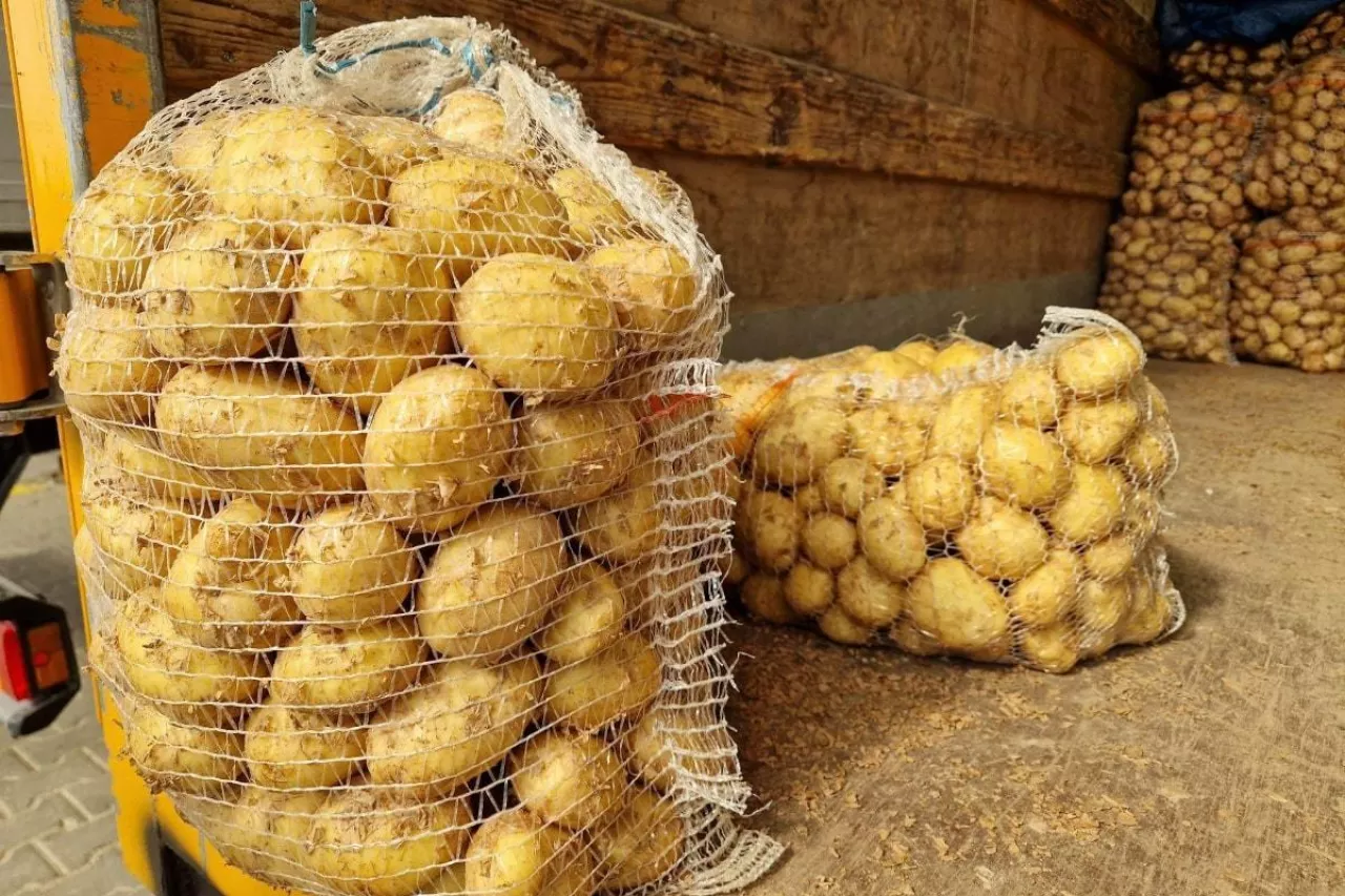 Ziemniaki w workach rynek Bronisze