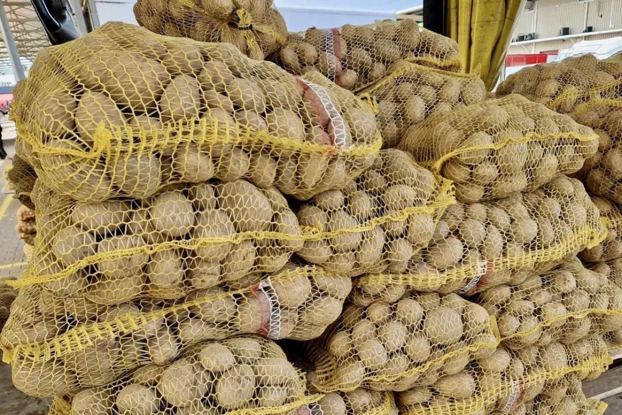 Ziemniaki na rynku hurtowym w Broniszach