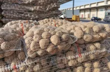 Sprzedaż ziemniaków Bronisze