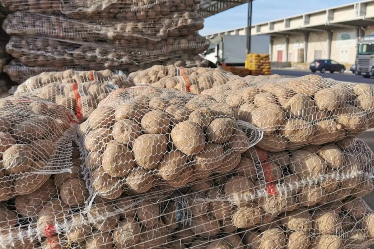 Sprzedaż ziemniaków Bronisze