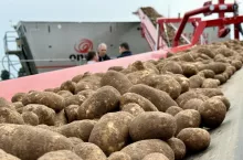 Transport bulw ziemniaka