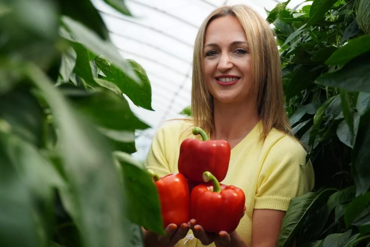 Uprawa papryki w gospodarstwie Eweliny Szymczak