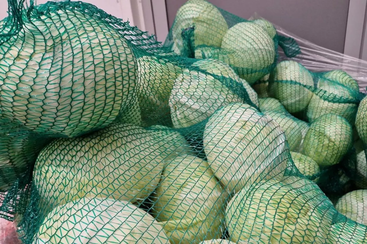 Biała kapusta w workach