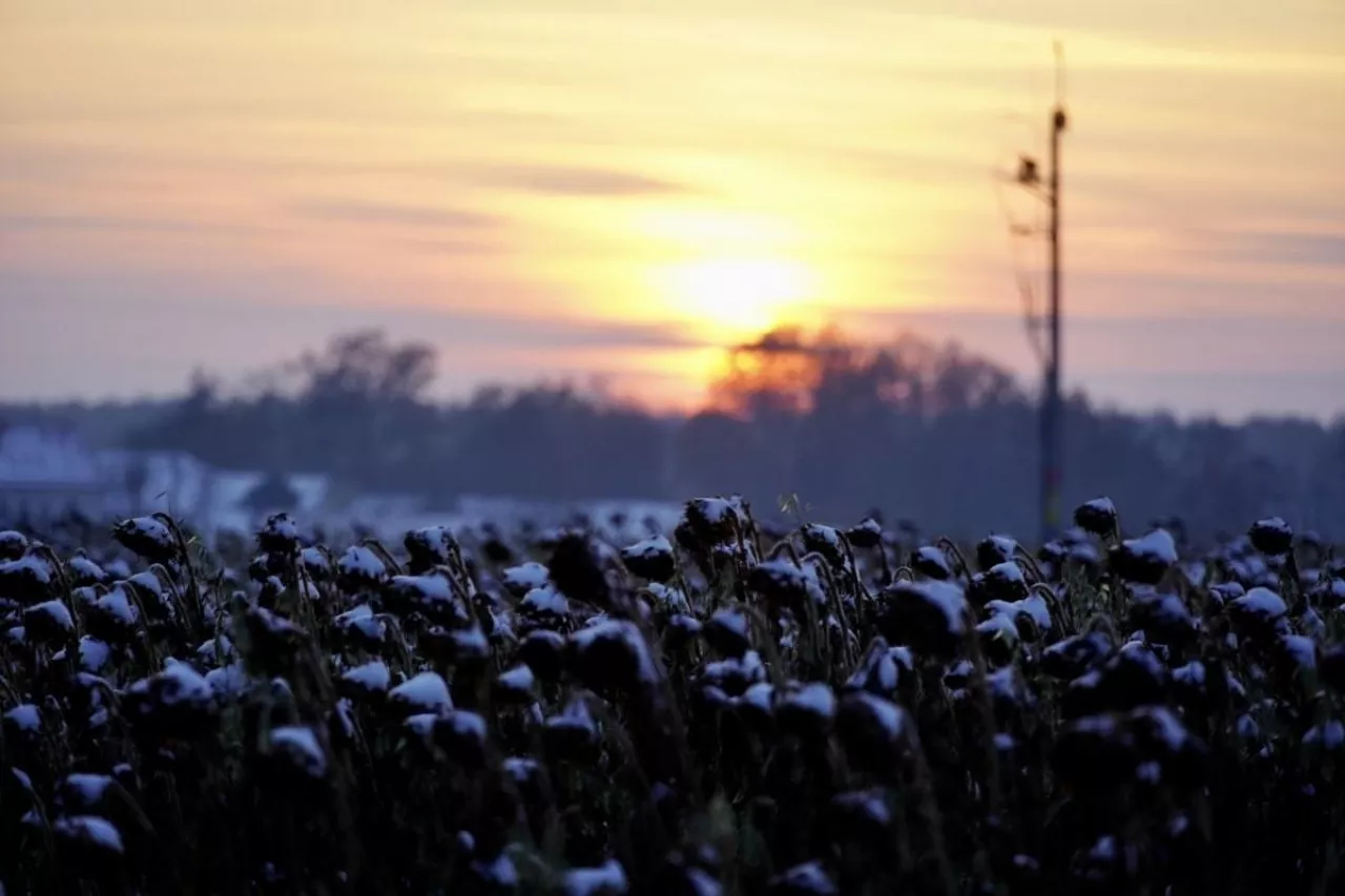Zachód słońca zima