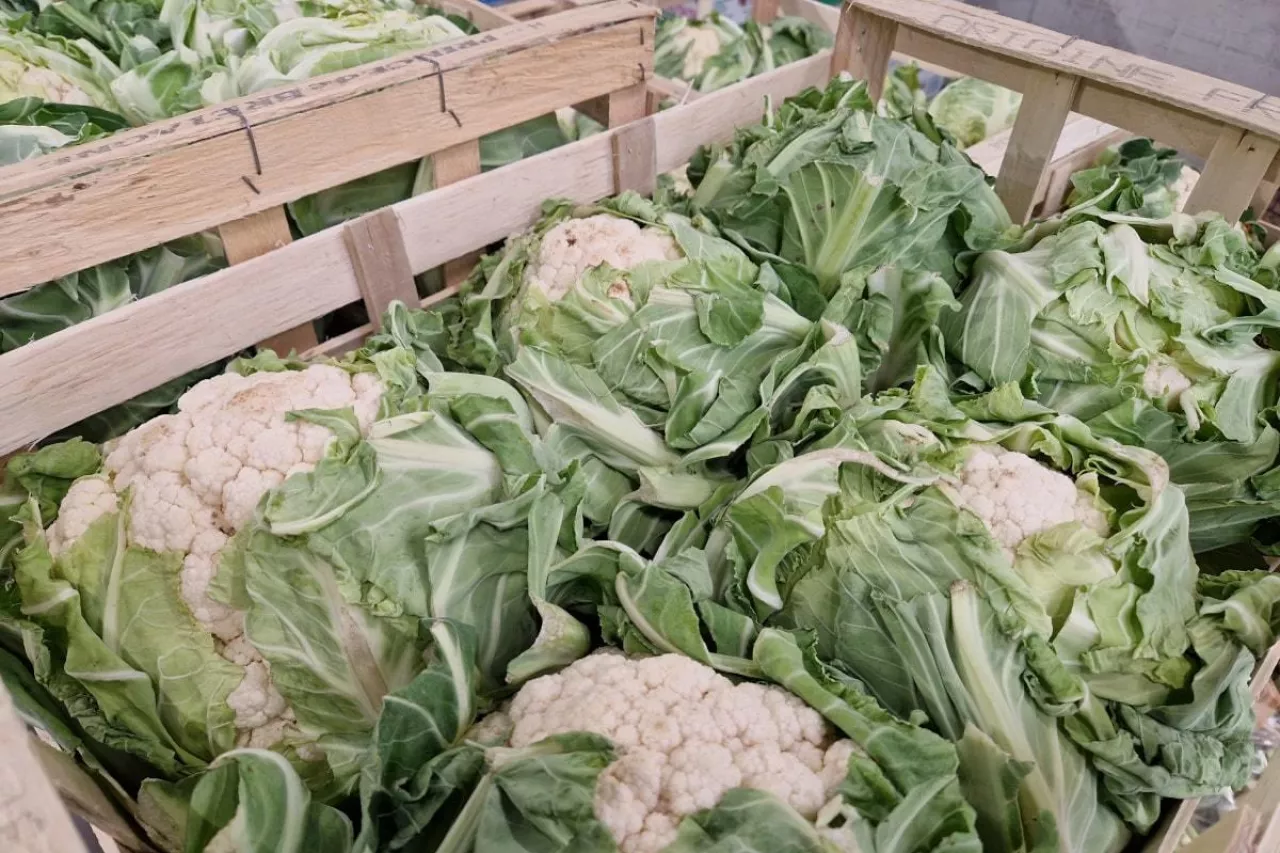 Importowane kalafiory w skrzynkach