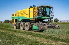 Samobieżny kombajn do groszku