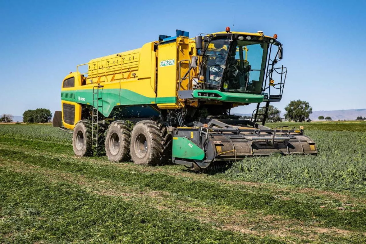 Samobieżny kombajn do groszku