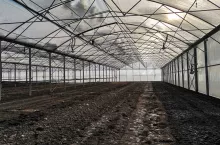 Tunel przygotowany do uprawy