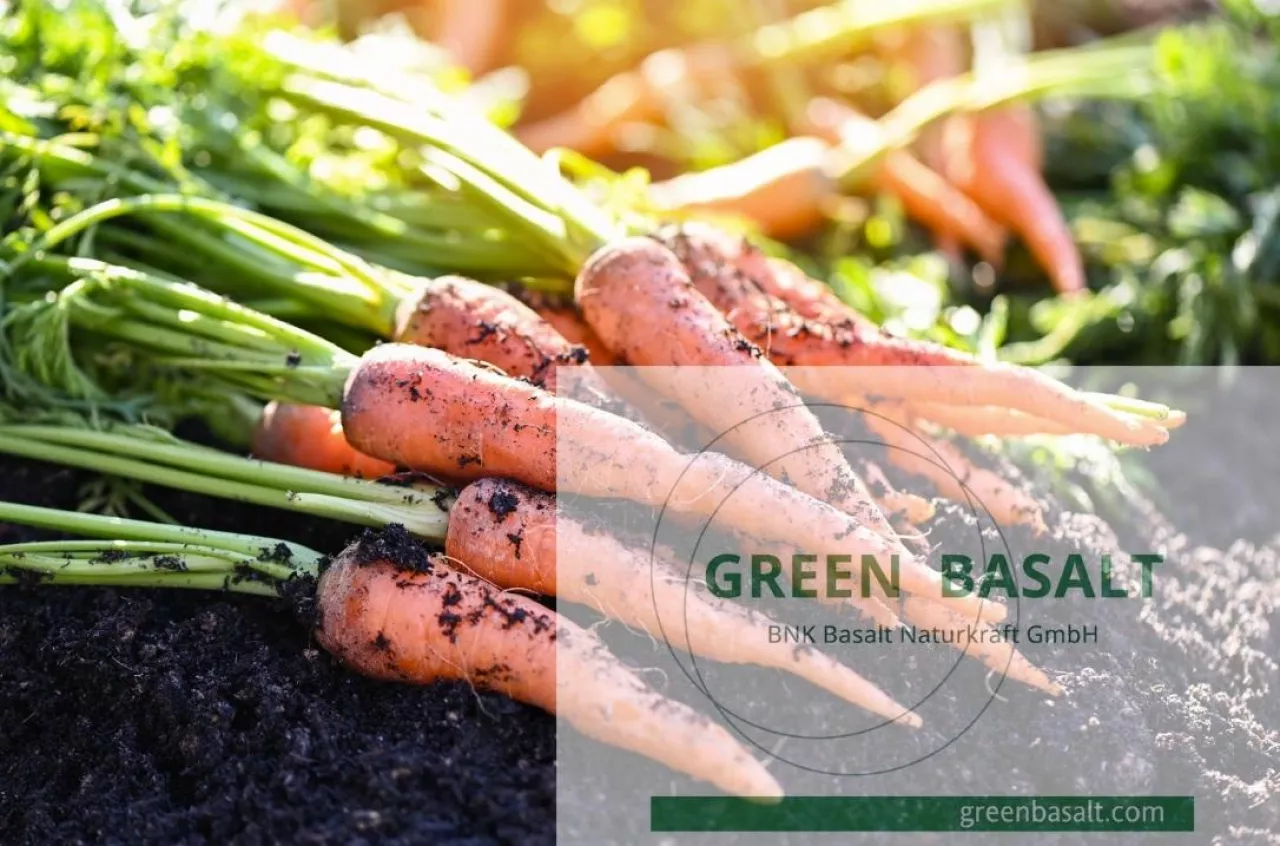 Green basalt - uprawa marchwi